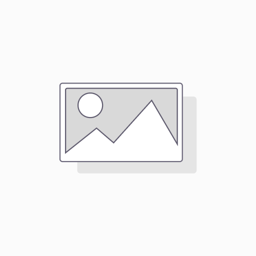 Starter Bookkeeping Services